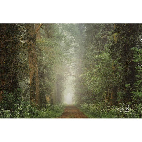 Misty Spring Road Gold Ornate Wood Framed Art Print with Double Matting by Podt, Martin