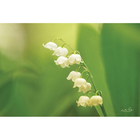 Lily of the Valley White Modern Wood Framed Art Print by Podt, Martin