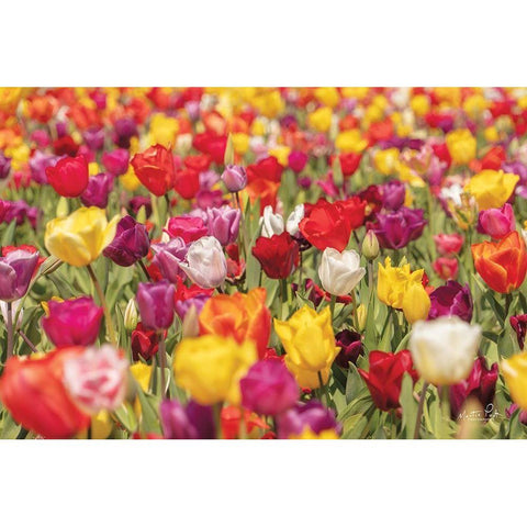 Colorful Bouquet Gold Ornate Wood Framed Art Print with Double Matting by Podt, Martin