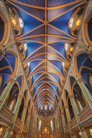 Notre-Dame Cathedral Basilica Black Ornate Wood Framed Art Print with Double Matting by Podt, Martin