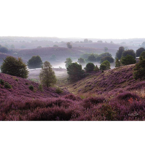 Oh Yeah White Modern Wood Framed Art Print by Podt, Martin