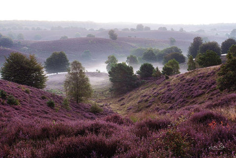 Oh Yeah Black Ornate Wood Framed Art Print with Double Matting by Podt, Martin