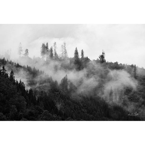 Covered by Clouds Gold Ornate Wood Framed Art Print with Double Matting by Podt, Martin