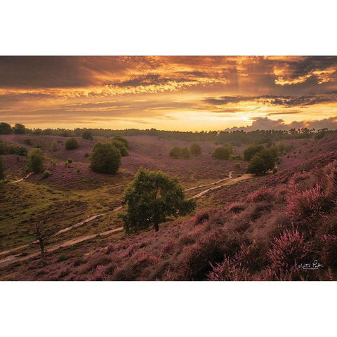 Just a Sunset in the Netherlands White Modern Wood Framed Art Print by Podt, Martin