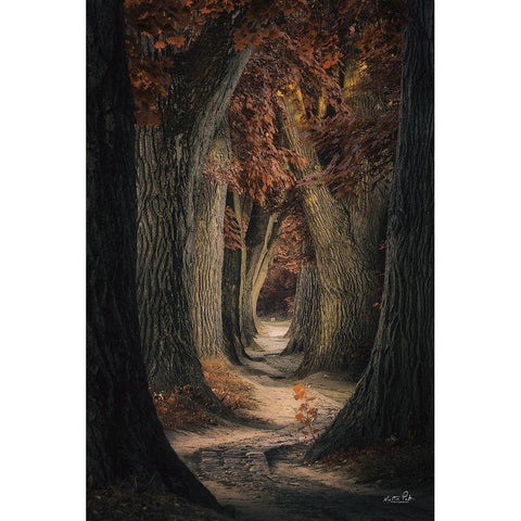 Same Old Path Gold Ornate Wood Framed Art Print with Double Matting by Podt, Martin