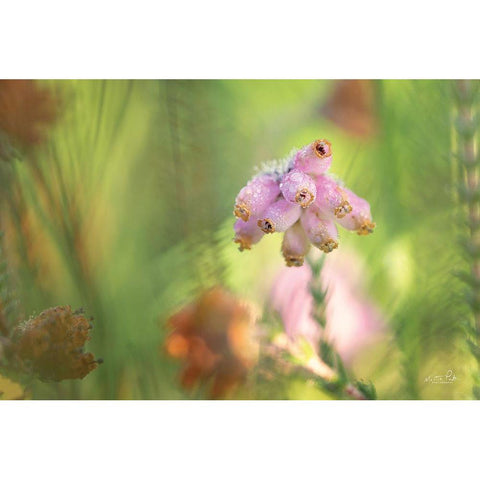 Heather Black Modern Wood Framed Art Print by Podt, Martin