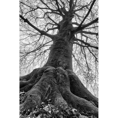 The Giant I Black Modern Wood Framed Art Print with Double Matting by Podt, Martin