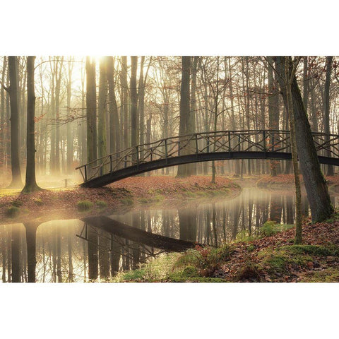 Bridge Over Troubled Waters Black Modern Wood Framed Art Print with Double Matting by Podt, Martin