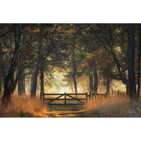 The Gate White Modern Wood Framed Art Print by Podt, Martin