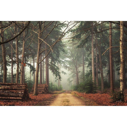 Harvesting Time White Modern Wood Framed Art Print by Podt, Martin