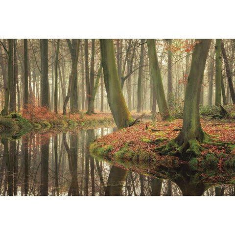 Rising Hope Black Modern Wood Framed Art Print by Podt, Martin