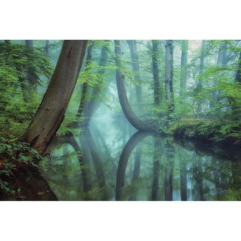 Moody Reflections White Modern Wood Framed Art Print by Podt, Martin