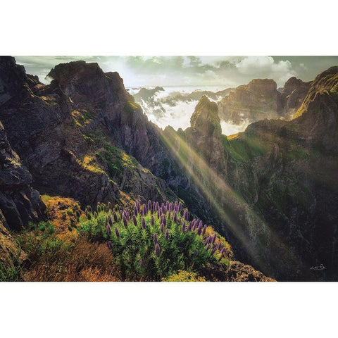 The View Black Modern Wood Framed Art Print with Double Matting by Podt, Martin