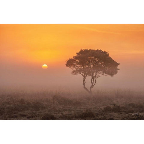 Enjoy the Silence I Black Modern Wood Framed Art Print with Double Matting by Podt, Martin