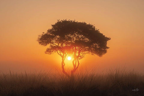 Enjoy the Silence III White Modern Wood Framed Art Print with Double Matting by Podt, Martin