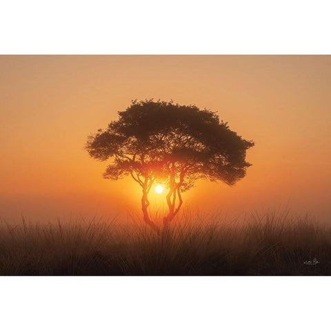 Enjoy the Silence III Black Modern Wood Framed Art Print by Podt, Martin