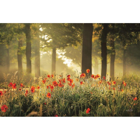 The Poppy Forest White Modern Wood Framed Art Print by Podt, Martin