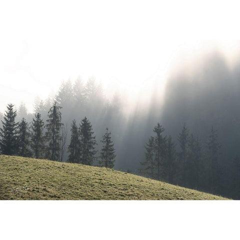 Mountain Glory White Modern Wood Framed Art Print by Podt, Martin