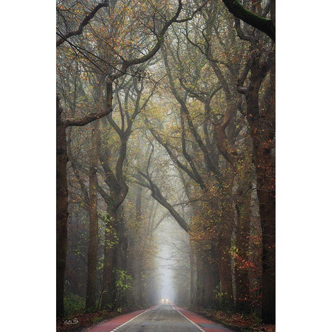 Tiny Car    Black Modern Wood Framed Art Print by Podt, Martin