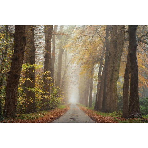 Autumnal Moodiness    White Modern Wood Framed Art Print by Podt, Martin