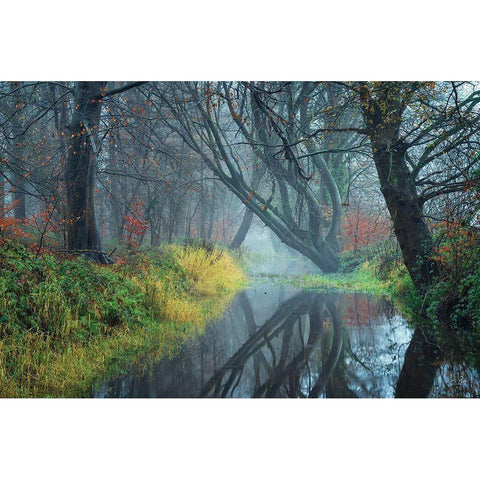 The Creek    Gold Ornate Wood Framed Art Print with Double Matting by Podt, Martin