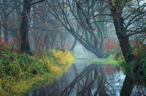 The Creek    White Modern Wood Framed Art Print with Double Matting by Podt, Martin
