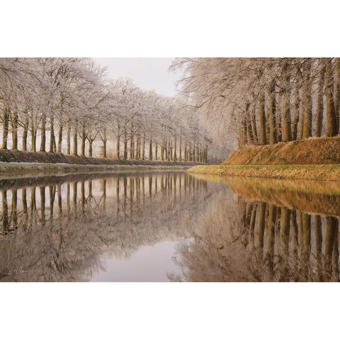 Frosty Reflections White Modern Wood Framed Art Print by Podt, Martin