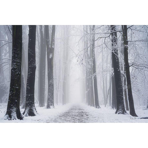 Whiteout  Black Modern Wood Framed Art Print with Double Matting by Podt, Martin