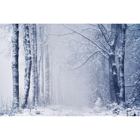 Alone in the World Black Modern Wood Framed Art Print with Double Matting by Podt, Martin