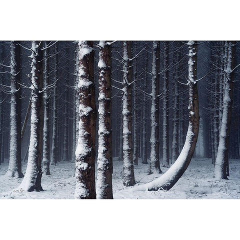 Crooked Black Modern Wood Framed Art Print with Double Matting by Podt, Martin