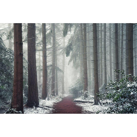 Red Carpet Black Modern Wood Framed Art Print with Double Matting by Podt, Martin