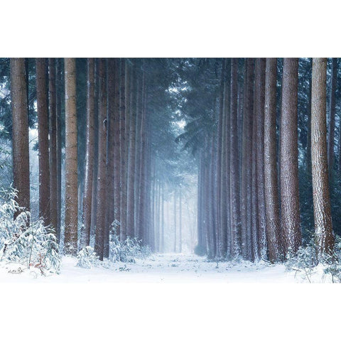 Polar Winter Black Modern Wood Framed Art Print with Double Matting by Podt, Martin