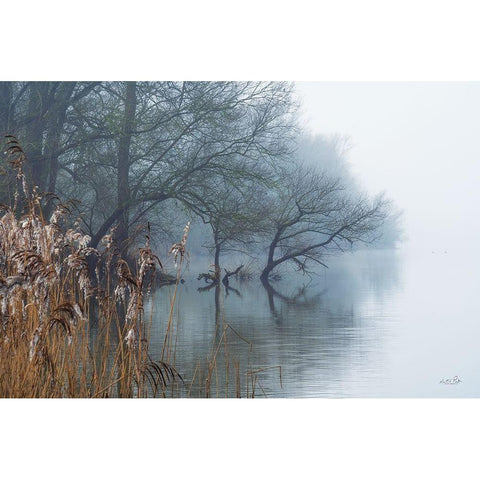 In the Swamps Black Modern Wood Framed Art Print with Double Matting by Podt, Martin