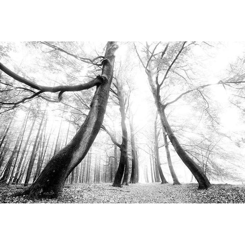 The Gatekeeper   Black Modern Wood Framed Art Print with Double Matting by Podt, Martin