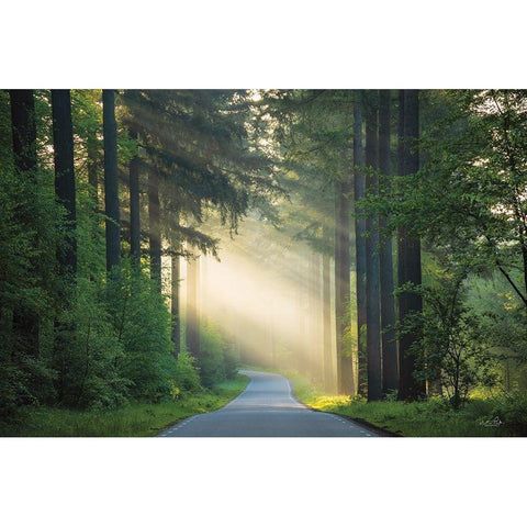 The Road Black Modern Wood Framed Art Print with Double Matting by Podt, Martin