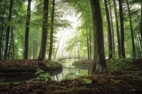 On a Beautiful Morning White Modern Wood Framed Art Print with Double Matting by Podt, Martin