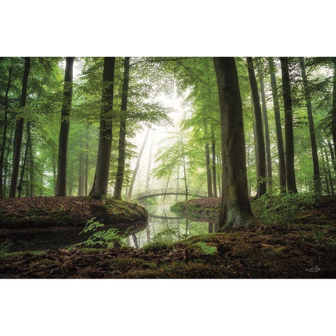 On a Beautiful Morning Black Modern Wood Framed Art Print by Podt, Martin