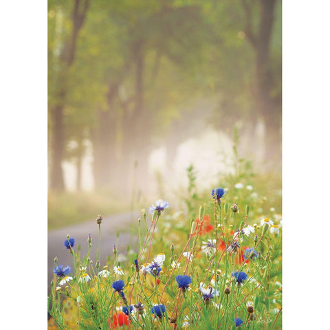 Bee Pleasure Black Modern Wood Framed Art Print by Podt, Martin