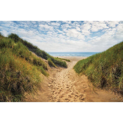 The Dutch North Sea Coast I Gold Ornate Wood Framed Art Print with Double Matting by Podt, Martin