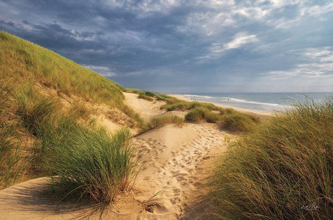 The Dutch North Sea Coast II White Modern Wood Framed Art Print with Double Matting by Podt, Martin