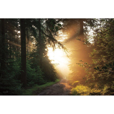 Light Explosion White Modern Wood Framed Art Print by Podt, Martin