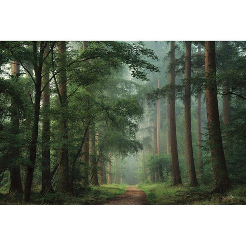 Moody Green Black Modern Wood Framed Art Print by Podt, Martin