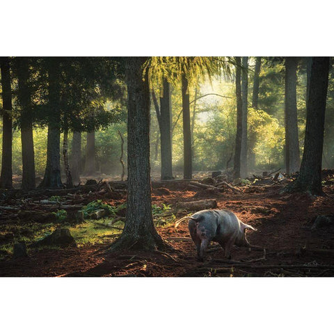 Morning Stroll  Black Modern Wood Framed Art Print by Podt, Martin