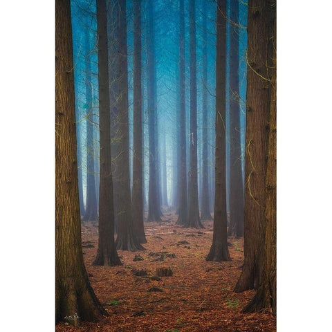 Trees Everywhere Gold Ornate Wood Framed Art Print with Double Matting by Podt, Martin