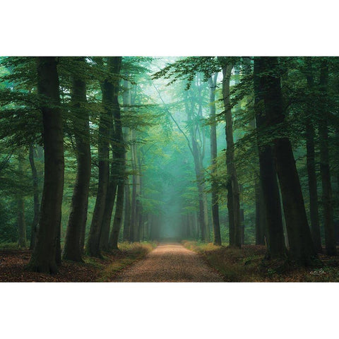 Road of Mysteries Black Modern Wood Framed Art Print by Podt, Martin