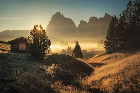 Morning in Italy Countryside  Black Ornate Wood Framed Art Print with Double Matting by Podt, Martin