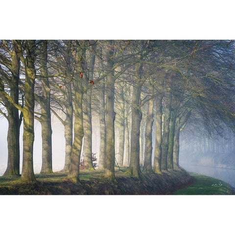 Standing Together Black Modern Wood Framed Art Print by Podt, Martin