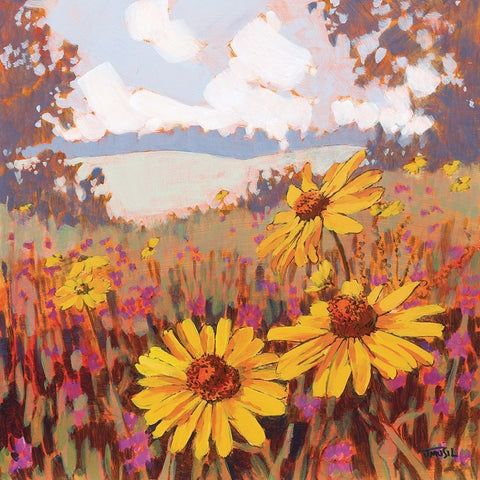 Black-Eyed Susans Black Ornate Wood Framed Art Print with Double Matting by Musil, Jim