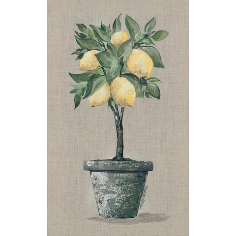 Lemon Tree Gold Ornate Wood Framed Art Print with Double Matting by Norkus, Julie