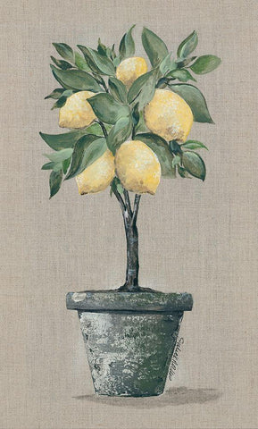 Lemon Tree White Modern Wood Framed Art Print with Double Matting by Norkus, Julie